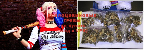соль курить ск Белокуриха