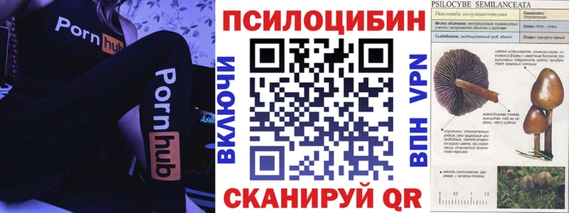 mega ТОР  Ворсма  Галлюциногенные грибы мицелий 
